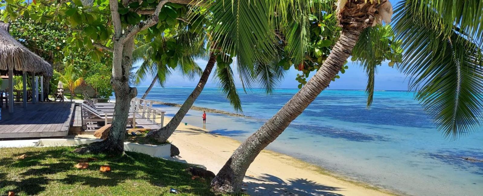 Moorea Island Beach Hotel Kültér fotó
